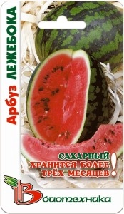 Капуста Лежебока Описание Сорта Фото Отзывы