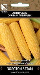 Кукуруза Золотой батам сахарная (Поиск)