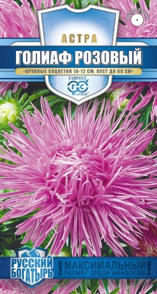 Семена Астра игольчатая Голиаф розовый (Гавриш)