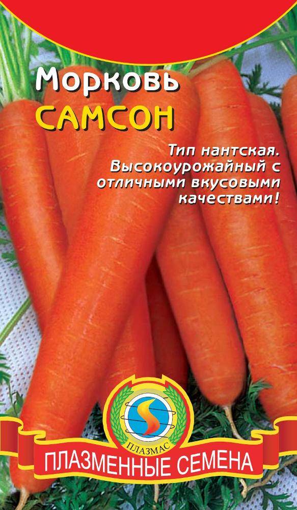 Семена Моркови Купить Цена