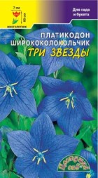 Платикодон (ширококолокольчик) Три звезды ЦС