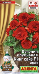 Бегония Кинг Сайз F1 Алая клубневая (Аэлита)