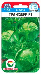 Капуста белокочанная Трансфер F1 (Сиб сад)