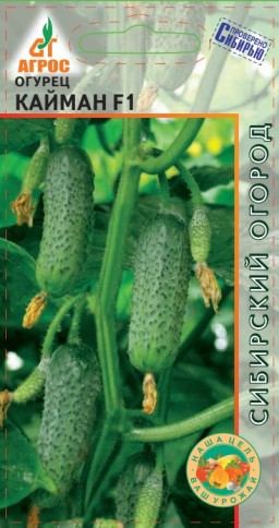 Огурец Кайман (Агрос)