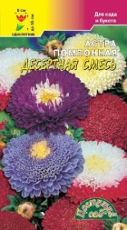 Астра Десертная помпонная смесь ЦС