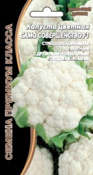 Капуста цветная Само совершенство УД