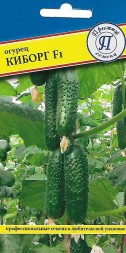 Огурец Киборг F1 (Престиж)