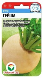 Репа Гейша (Сиб сад)