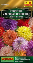 Георгина Махровая срезочная (Аэлита)