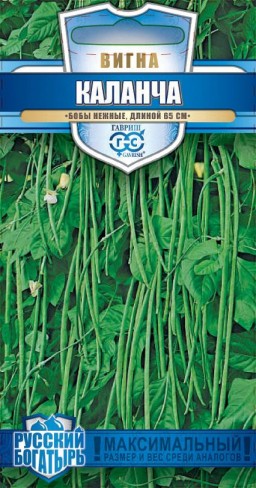 Вигна Каланча (Гавриш) Вигна Каланча (Гавриш)