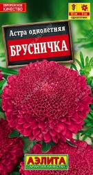 Астра Брусничка помпонная (Аэлита)