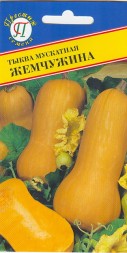 Тыква Жемчужина мускатная (Престиж)