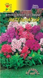 Флокс Многолетний Метельчатый, смесь ЦС