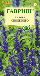 Сальвия Синее Небо мучнистая (Гавриш)