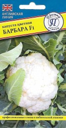 Капуста цветная Барбара F1 (Престиж)
