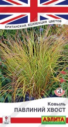 Ковыль Павлиний хвост (Аэлита)