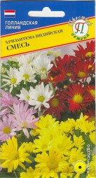 Хризантема Индийская смесь (Престиж)