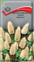 Зайцехвост Декоративные злаки (лагурус) сухоцвет (Поиск)