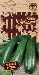 Кабачок Черномор (Гавриш)