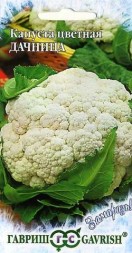 Капуста цветная Дачница (Гавриш)