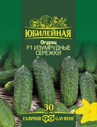 Огурец Изумрудные сережки F1 (Гавриш) Юбилейный