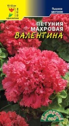 Петуния Валентина махровая ЦС