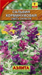 Сальвия Хорминумовая (Аэлита)