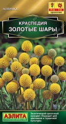 Краспедия Золотые шары (Аэлита)