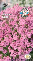 Диасция Бася ампельная (СеДеК)