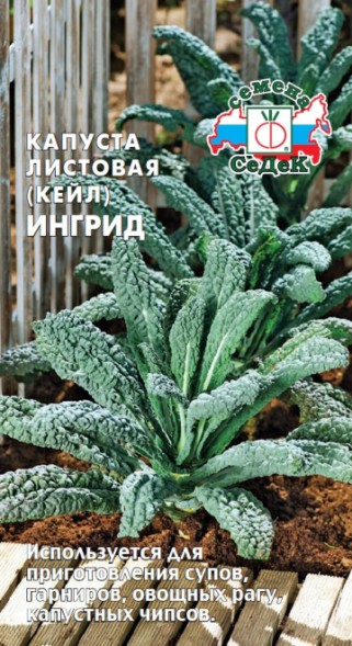 Семена Капуста листовая Ингрид F1 (Кейл) (СеДек)