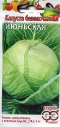 Капуста белокачанная Июньская (Гавриш)