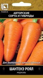Морковь Шантенэ Роял (Поиск)