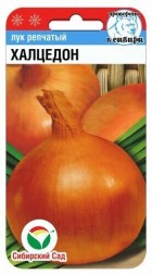 Лук репчатый Халцедон (Сиб сад)