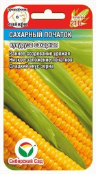 Кукуруза Сахарный початок (Сиб Сад)