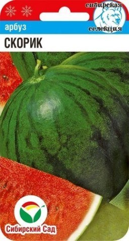 Арбуз Скорик (Сиб сад)