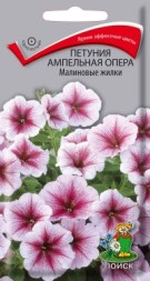 Петуния ампельная Опера. Малиновые жилки (Поиск)