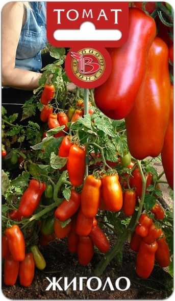 Семена Томат Жигало (Биотехника)
