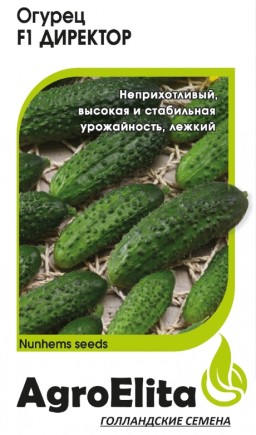 Огурец Директор F1 (АгроЭлита) Огурец Директор F1 (АгроЭлита)
