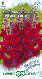 Антирринум (Львиный зев) Кримсон Вельвет (Гавриш)