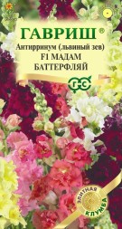 Антирринум (Львиный зев) Мадам Баттерфляй (Гавриш)