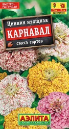Цинния Карнавал (Аэлита)