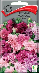 Петуния Артист махровая (Поиск)