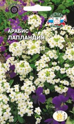 Арабис Лапландия (СеДеК)