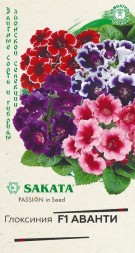 Глоксиния Аванти F1 (Гавриш) Саката