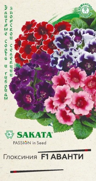 Семена Глоксиния Аванти F1 (Гавриш) Саката