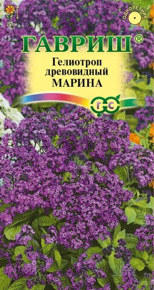 Семена Гелиотроп древовидный Марина (Гавриш)