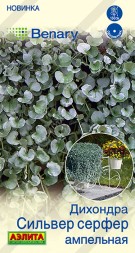 Дихондра Сильвер серфер ампельная (Аэлита)