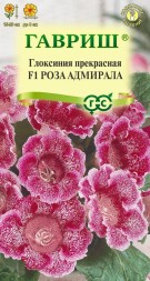 Глоксиния Роза Адмирала прекрасная F1 (Гавриш)