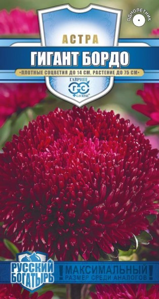 Семена Астра Гигант бордо игольчато-коготковая (Гавриш)