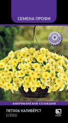 Петхоа Калиберст Еллоу (Поиск)